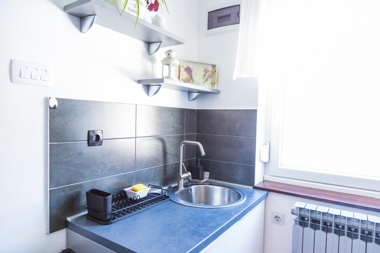 דלניצה Apartman Japlenski מראה חיצוני תמונה