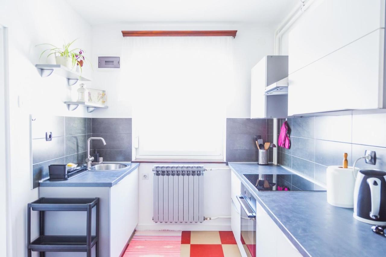דלניצה Apartman Japlenski מראה חיצוני תמונה